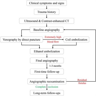 Coil-assisted ethanol embolization of traumatic arteriovenous fistulas: a 10-year retrospective study